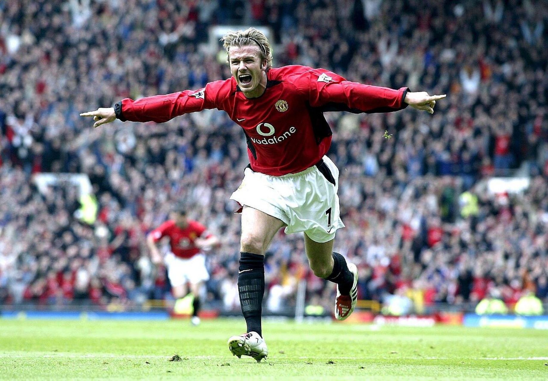 额外组织者 额外组织者