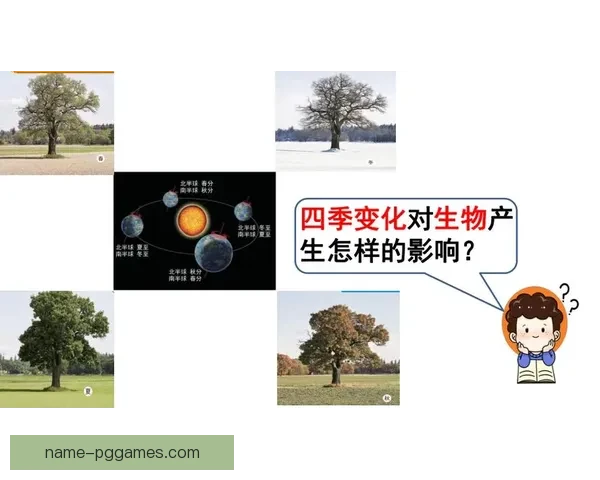 健身数据分析：揭示身体变化的科学密码