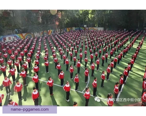 体操数据分析：优化表现实现突破