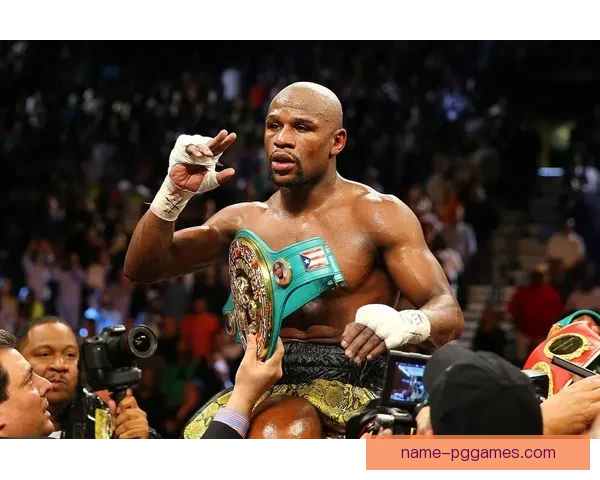 拳击排名分析及赛事回顾：全球拳坛巅峰对决展现实力