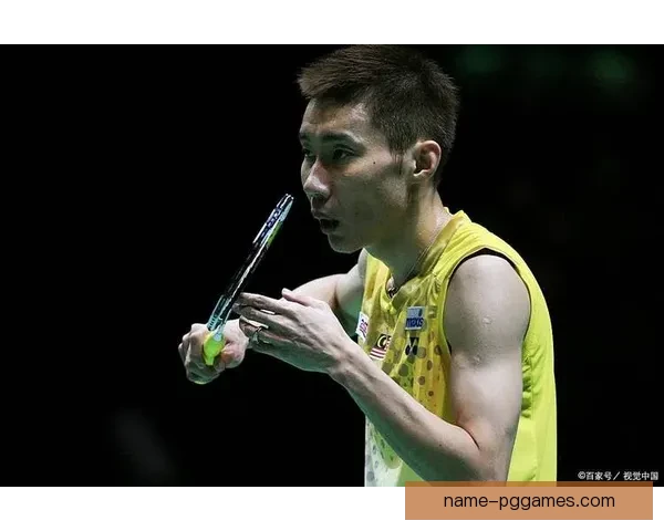 羽毛球大师分享：精进技巧，提升水平