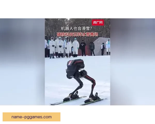 雪域精灵：探秘滑雪赛场实时战况